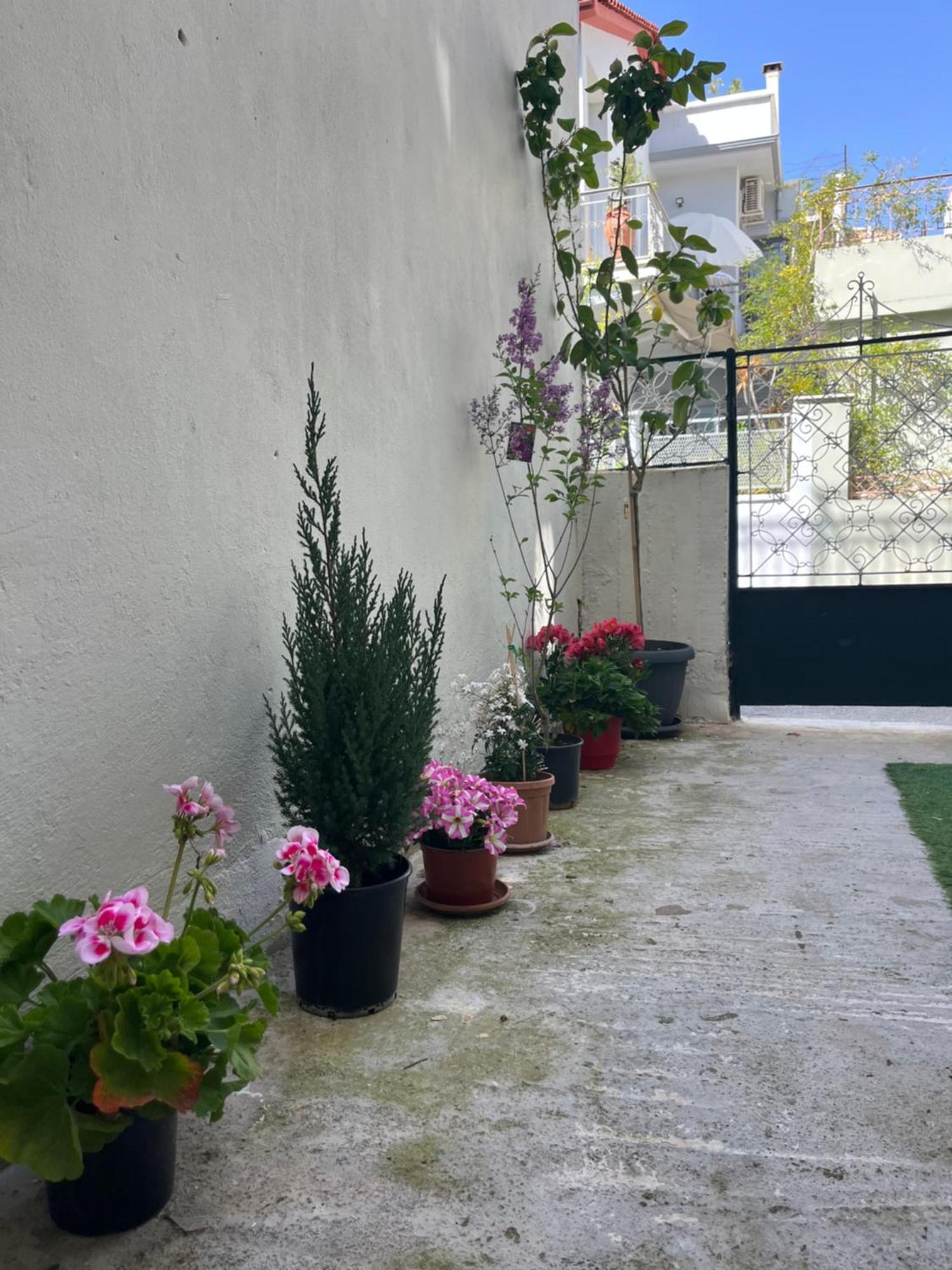 Noa - Designed Garden Studio In The City Center Καλαμάτα Εξωτερικό φωτογραφία